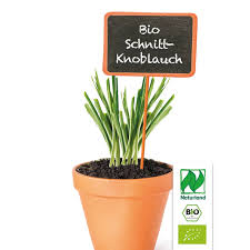 Image result for Schnittknoblauch