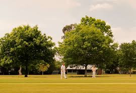 Image result for Lymm Oughtrington Park Cricket Club