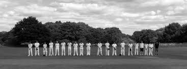 Image result for Leatherhead & Cobham Cc