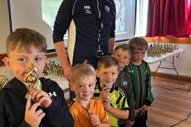 Image result for Manor Colts Youth Football Club