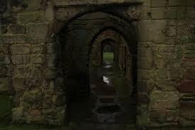 Image result for Ashby Castle Octopush Club