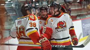 Image result for Poole Hockey Club