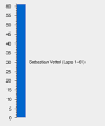 2011 Singapore Grand Prix - Wikipedia, the free encyclopedia