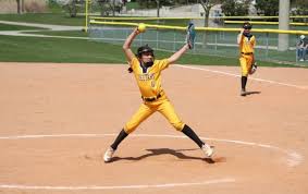 Image result for Cheetahs Softball Team