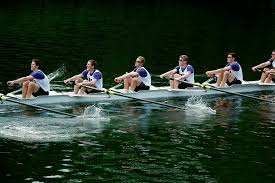 Image result for Windermere Rugby Club