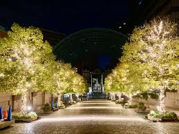 Image result for https://mobile.twitter.com/a24tanabe