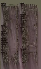 Attēlu rezultāti vaicājumam “Lycogala asperum young”