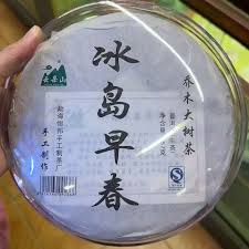 Image result for 2011早春