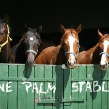 Image result for Palmers Riding Stables
