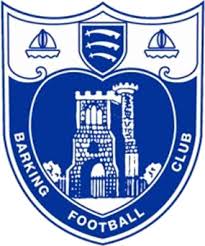 Image result for Hassocks Ladies FC