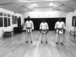 Image result for GoJu-Kai Karate Club