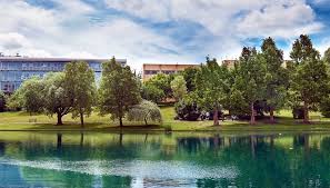 Image result for University Of Surrey