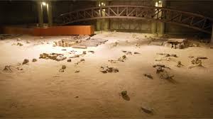 Image result for 土井ヶ浜遺跡　視線　故郷