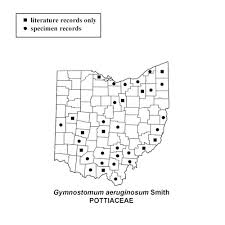 Attēlu rezultāti vaicājumam “Gymnostomum aeruginosum”