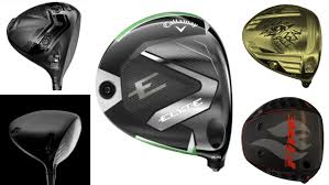 Image result for Dunham Massey Angling Club