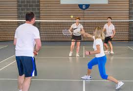 Image result for Struttles Badminton Club