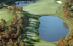 Image result for Plymouth Swallows Gc