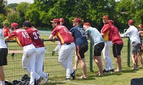 Image result for Norwich Iceni Baseball Club