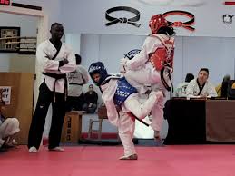 Image result for North Wilts Taekwondo