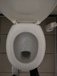 Image result for german toilet