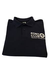 Image result for Taunton Vale Polo Club