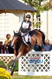 Image result for Fisher Equestrian