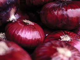 Image result for Zwiebeln