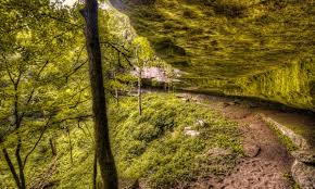 Image result for Beech Tree Miners Welfare Bowling Club