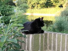 Image result for 20070322