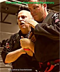 Image result for Northern Freestyle Karate Association