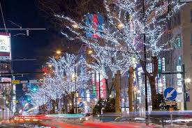 Картинки по запросу япония снег дороги