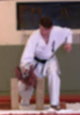 Image result for Seiki Juku Karate Organisation