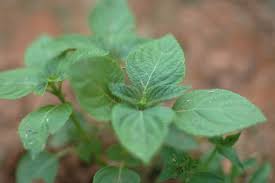 Image result for 깱깲깳깴깵깶깷깺깾깿꺀꺁꺂꺃꺆꺇꺈꺉꺊꺋꺍꺎꺏꺐