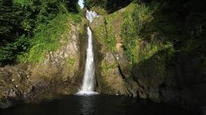 Image result for Cascada