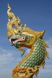 Kuvahaun tulos haulle nagas