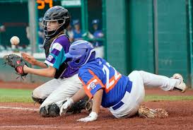 Image result for Elmbridge Girls` Little League