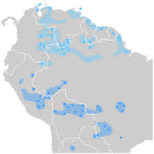 Image result for DeeperBlue.net Tribe (South London)