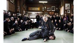 Image result for Budo Warrior Schools