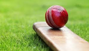 Image result for Stowmarket Cricket Club