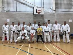 Image result for York University Karate Club