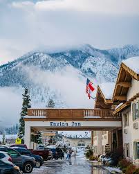 Image result for Enzian