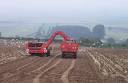 Omnivore's Delusion and the Joy of Industrial Agriculture : TreeHugger