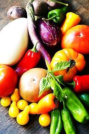 Attēlu rezultāti vaicājumam “Solanaceae”