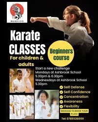 Image result for Didcot Judo and Karate Club