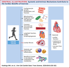 Image result for Sheffield Keep Fit Association