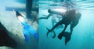 Image result for Three Seas Diving