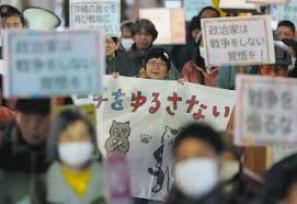 Image result for 17歳の現役看護学生