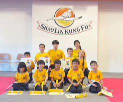 Image result for Dragon Wushu Club