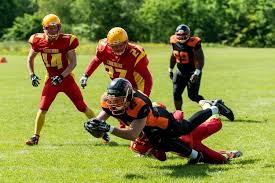 Image result for Glasgow Tigers