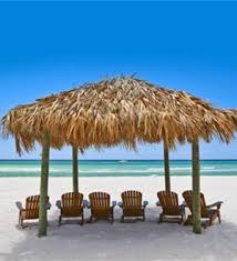 Image result for Spinnaker Club